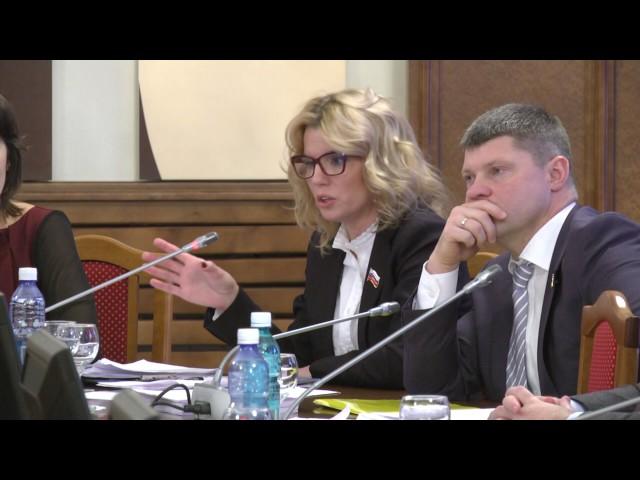 Меры господдержки инвесторов необходимо совершенствовать - Ирина Диденко