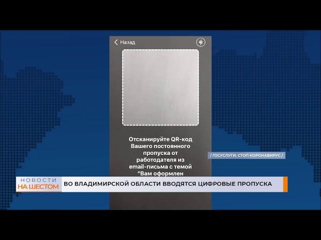 Во Владимирской области вводятся цифровые пропуска