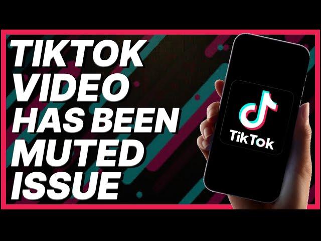 How To Fix TikTok Video Has Been Muted Issue (2024)