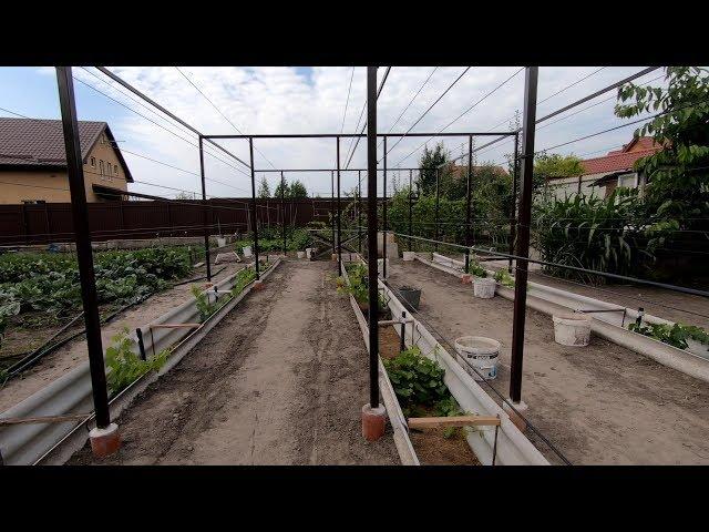 Vineyard # 2 The ideal trellis for grapes, the most simple and reliable design