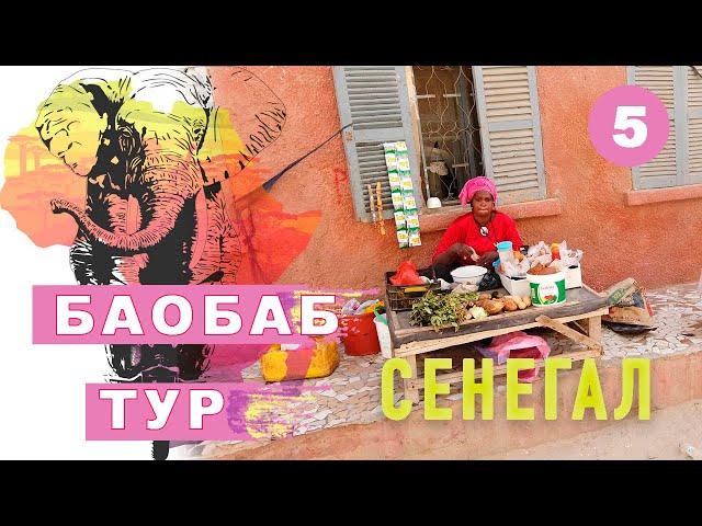 Баобаб тур. Сенегал начало. Мое большое путешествие на мотоцикле по Африке #5