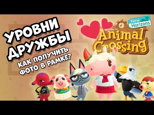 Как поднять уровень дружбы и получить фото в рамке жителя острова Animal Crossing: New Horizons (0+)