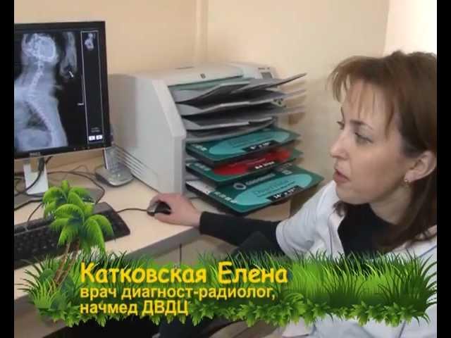 Донецкий Ветеринарный Диагностический Центр - 3