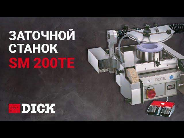 Заточной станок SM 200-TE - F.Dick