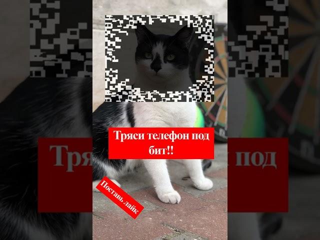 Эффект тряски на КОТИКе #shorts​