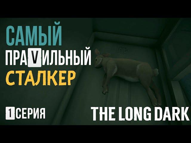 САМЫЙ ПРАVИЛЬНЫЙ СТАЛКЕРTHE LONG DARK1 СЕРИЯ