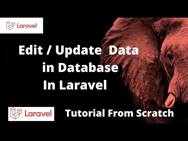 How to Edit , Update Data In Laravel Step By Step | Laravel Tutorial