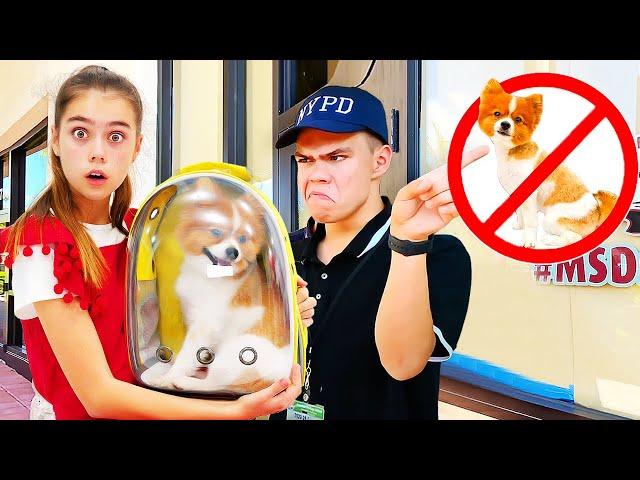 Nastya and the rules of conduct in the store with pets and other stories for kids