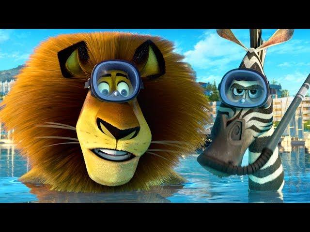 DreamWorks Madagascar | Alex and Marty Best Friends | Madagascar Funny Scenes | Kids Movies