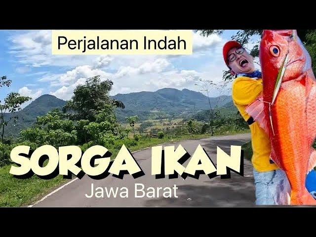 Perjalanan Indah menuju CIRATA lewat Puncak Bogor SEPI BANGET NIH !! Purwakarta dari cianjur Gadog