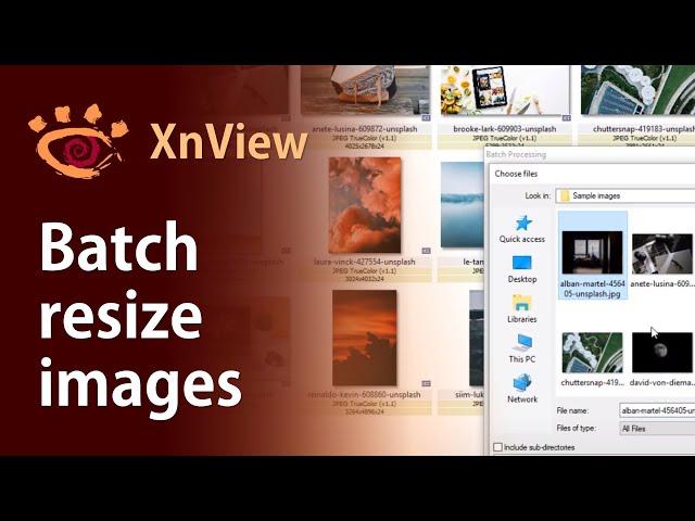 Batch-resize images with XnView for free | XnView bulk resize automation