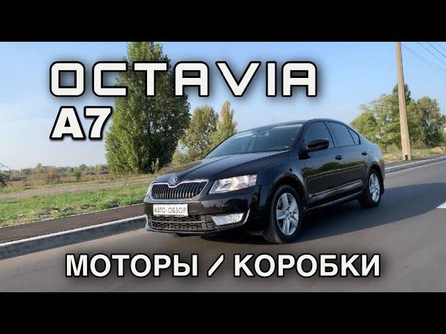 Обзор Skoda Octavia A7 - Как выбрать?