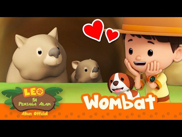 Hewan LUCU ini punya TAHI KOTAK?!  | Wombat | Leo Si Penjaga Alam | #minisode