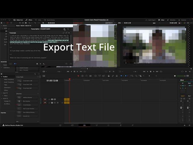 How To Edit with Transcripts in DaVinci Resolve