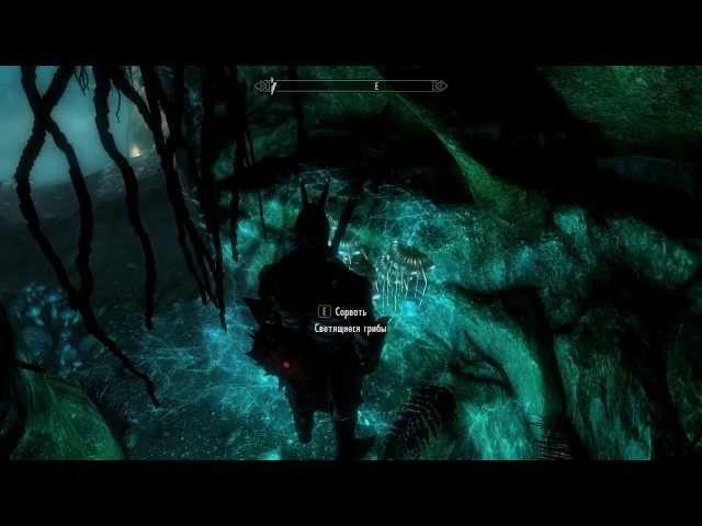 Skyrim - 27 (Квест Работы Шалидора)