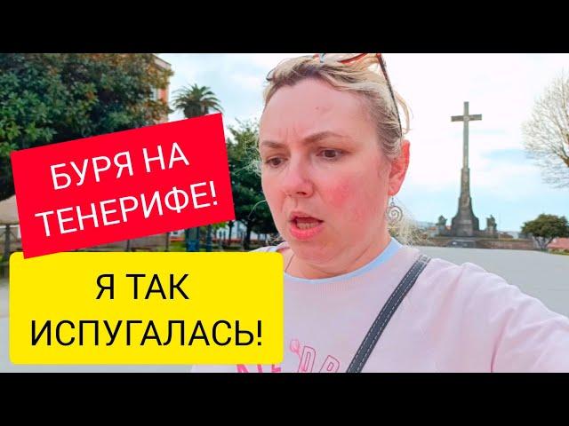ЭТО БЫЛ НАСТОЯЩИЙ КРАБ!  ГАЛИСИЯ - БУЙСТВО КРАСОК!  Понтеведра. Испания.