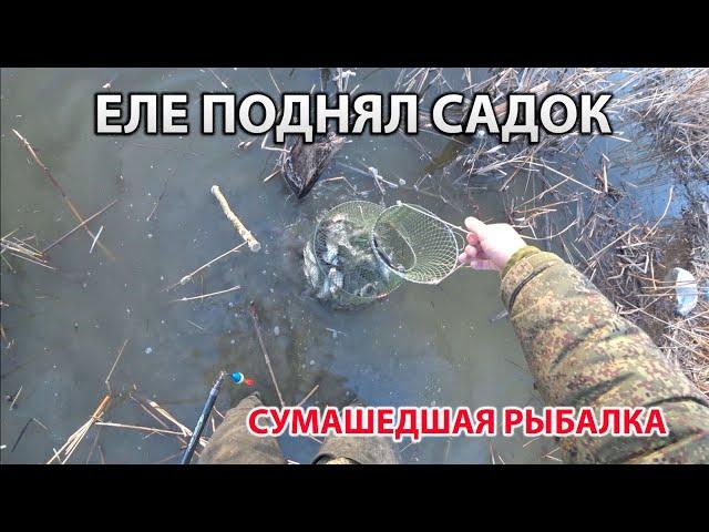 Еле поднял садок! Ловлю тарань на поплавок! Сумасшедший улов. Рыба клюёт только закинь!