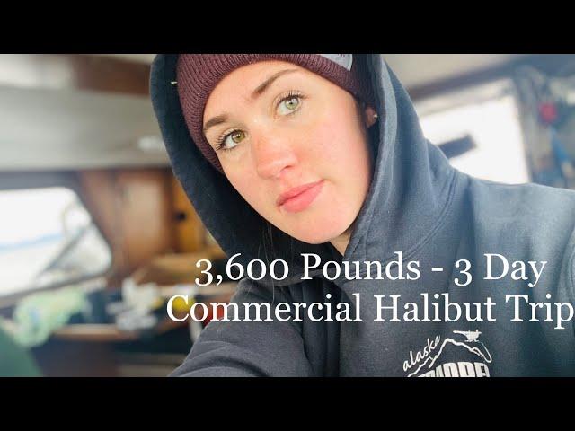 Commercial Fishing for Halibut June 2023