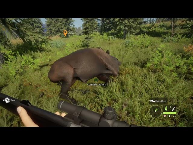 theHunter COTW || Dec 2021 || Hunt #1