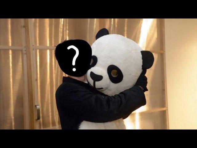 The panda face reveal dude perfect