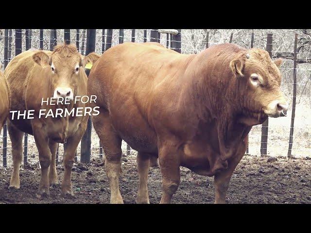 BTV PROMO FARMERS VOICE