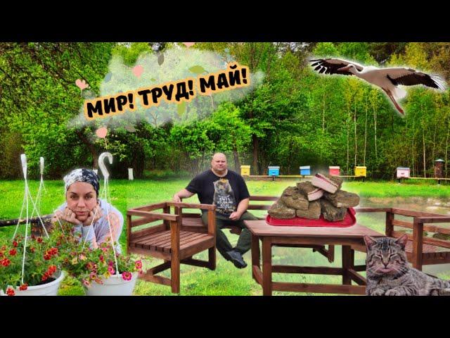 Простая деревенская жизнь Строим, солим, коптим! ВЫПУСК 22