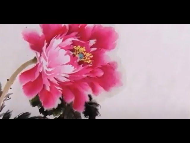 國畵牡丹--按步驟畫牡丹|모란 그림|牡丹の絵|peony painting|Цээнэ цэцгийн зураг,पेनी चित्रकला, Пион живопись guohuajifa