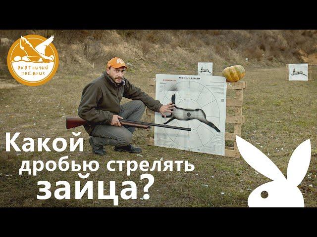 Какой дробью стрелять зайца? (Охотничий дневник #1)