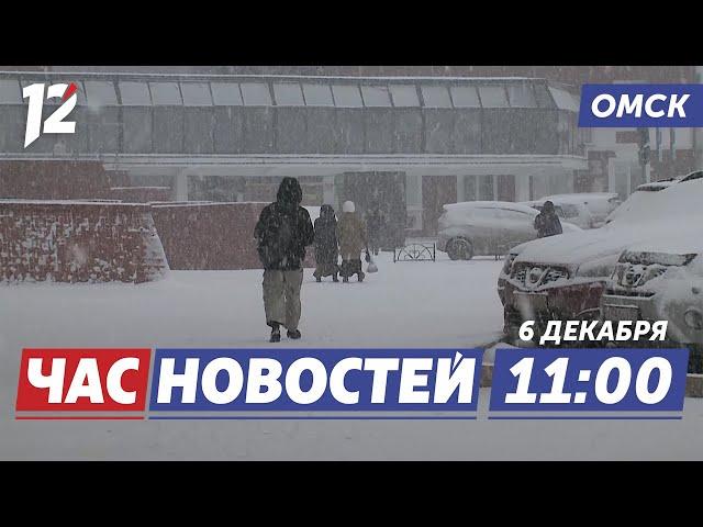 Снежный циклон / Хотел своровать дорожный знак / Зоопарк. Новости Омска