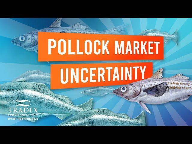 3MMI - Global Pollock Market Uncertainty, Pacific Cod Prices in Flux