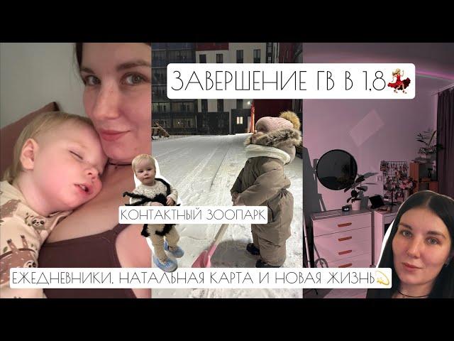 ЗАВЕРШЕНИЕ ГВ В 1,8 // КОНТАКТНЫЙ ЗООПАРК // ЕЖЕДНЕВНИКИ, НАТАЛЬНАЯ КАРТА И НОВАЯ ЖИЗНЬ🩷