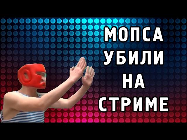 Мопса убили на стриме