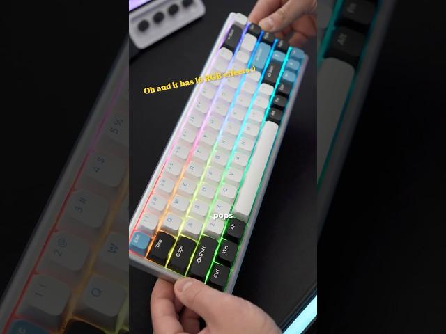 MAGNETIC gaming keyboard?! ⌨️ Polar 65 by Arbiter Studio 