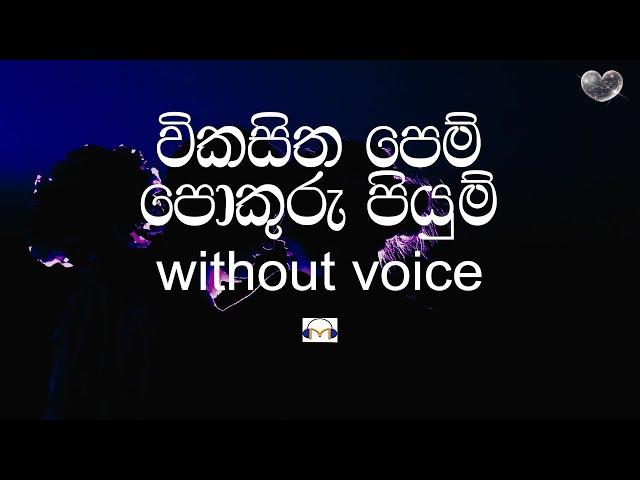 Vikasitha Pem Karaoke (without voice) විකසිත පෙම් | Sinhala Music Tracks