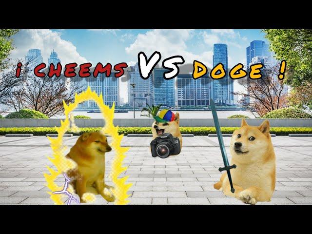 doge vs cheems @Capistrano