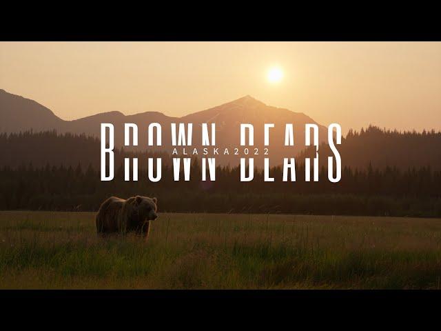 2022 Alaska Brown Bears Photo Tour Sizzle Reel - 4K