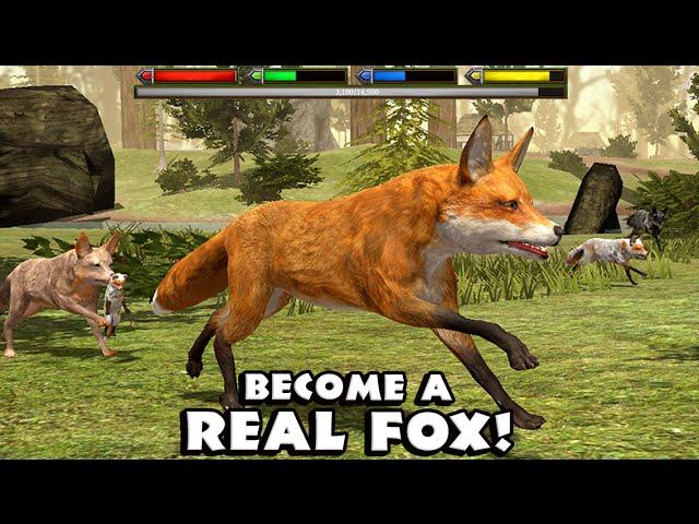 Ultimate Fox Simulator- Part 1- By  Gluten Free Games - Simulation - IOS/Android