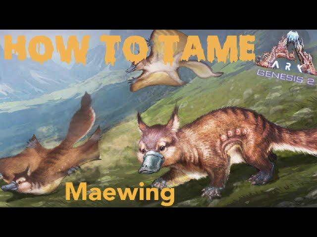 How To Tame Maewing In Ark Genesis Part 2 !