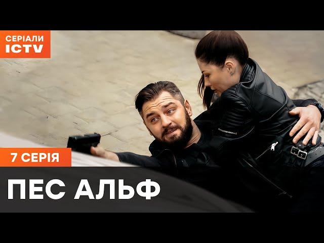 Пес Альф 1 сезон 7 серія | ДЕТЕКТИВИ | СЕРІАЛ ICTV| КОМЕДІЇ