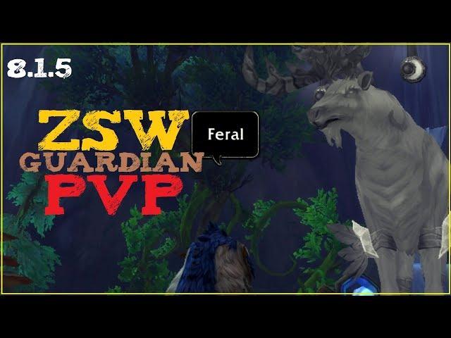 [BFA 8.1.5] Zsw PvP Montage (Feral Druid) - Fin