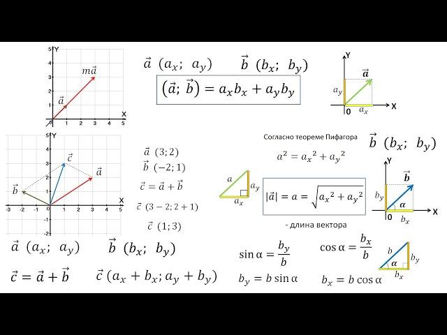 Рассмотрение темы: "Векторы в физике" #физика #школа #самара #7класс #9класс