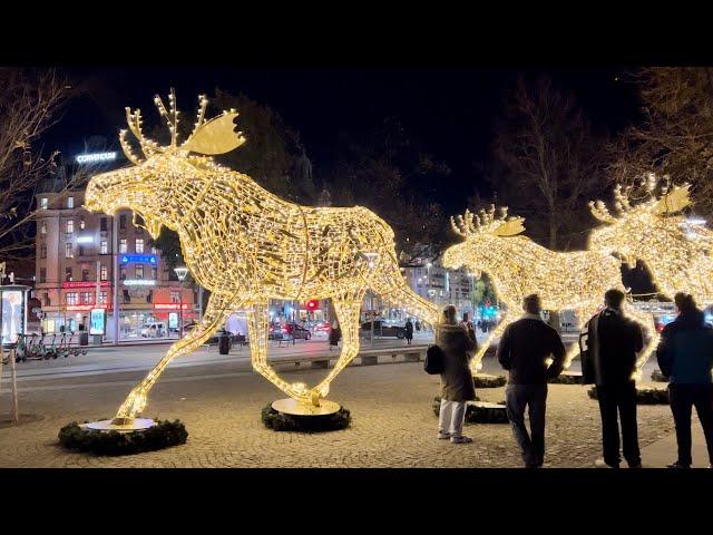 Stockholm Walks: Christmas lights, street life, dark waters and a family of moose.