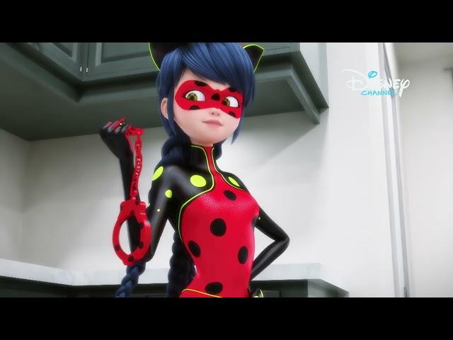 Hol van Katicabogár és Fekete Macska? | Miraculous | Disney Csatorna