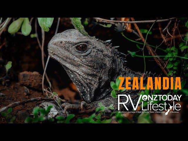 Zealandia | A wildlife sanctuary like no other in New Zealand's capital city!