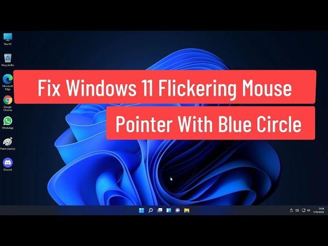 Fix Windows 11 Flickering Mouse Pointer With Blue Circle (HP Computers)