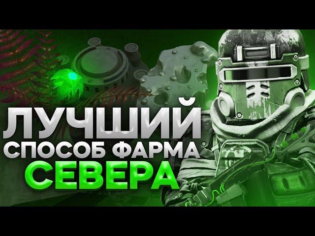 ЛУЧШИЙ СПОСОБ ФАРМА СЕВЕРА| STALCRAFT