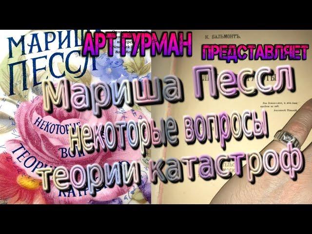 о романе–игре Маришы Пессл  «Некоторые вопросы теории катастроф»