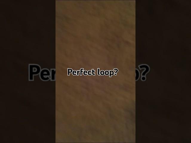 Perfect loop? #loop