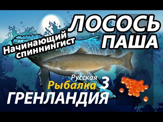 Лосось Паша / РР3 [ Русская рыбалка 3.9 Гренландия]