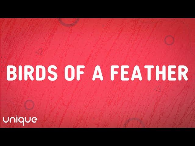 Billie Eilish - BIRDS OF A FEATHER (Lyrics)